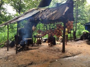 Side coconut stand