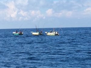 fishing boats