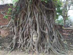 Temple in Ayutthaya