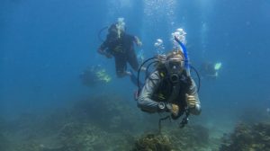 Scuba shark, Bass behind, Lyndon our instructor in front