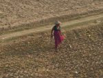 woman working in the fields