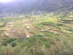 Rice Terrace