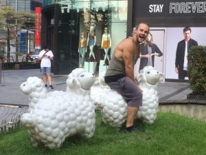 Vince sheeping