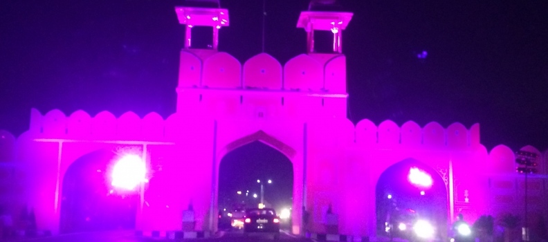 Jaipur-The Pink City